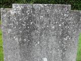 image of grave number 173184